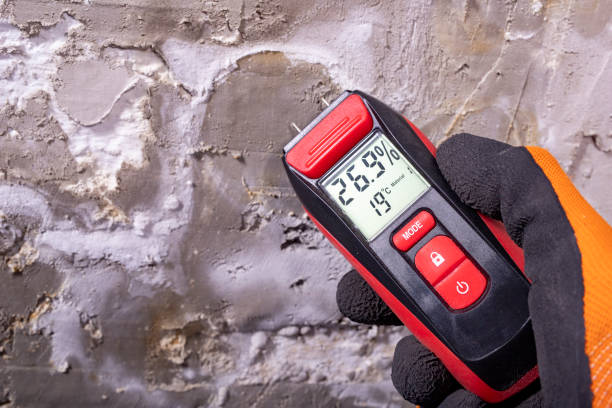 Best Industrial Mold Remediation in Solvay, NY