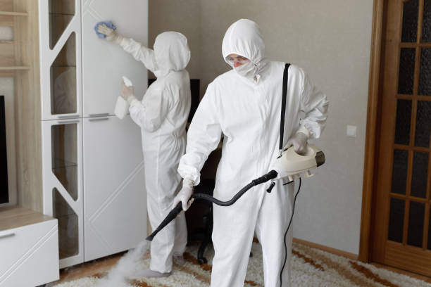 Best HVAC Mold Remediation in Solvay, NY